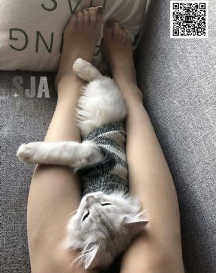 八戒八戒电影免费观看_HD在线播放观看
