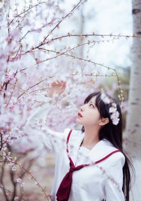 云之羽电视剧在线观看_720电影完整版