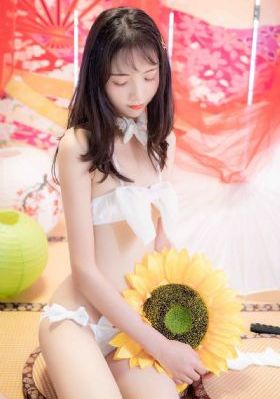淑女的欲望在线观看_BD英语电影在线看